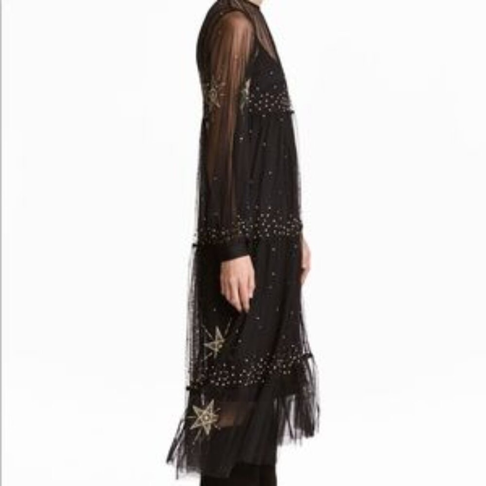 H&m celestial sheer mesh dress ISO (Found)